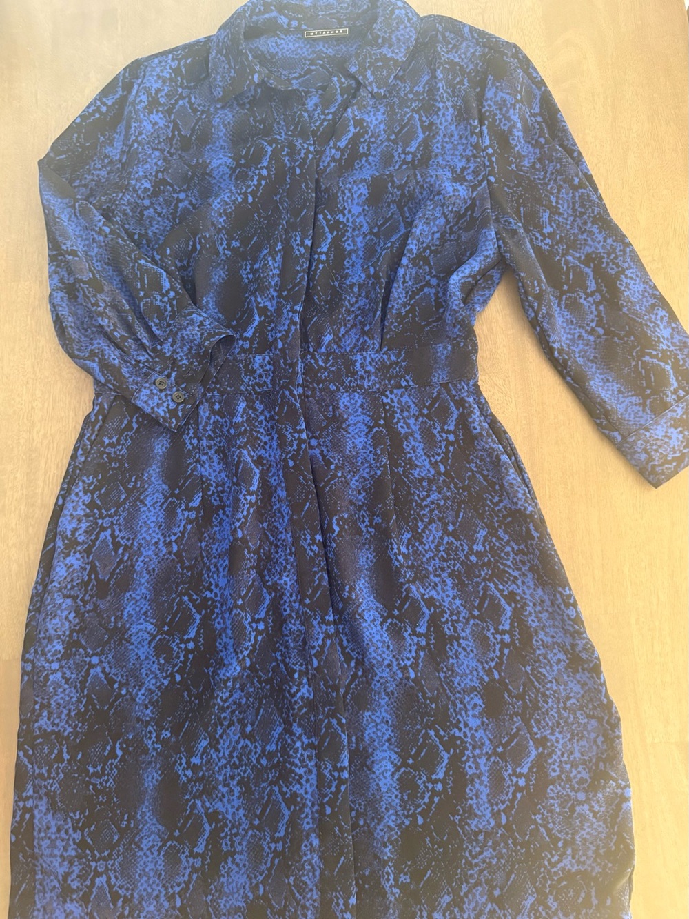 Blue Snake-Print Shirt Dress